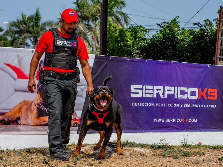 Seguridad K9